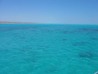 Ningaloo Reef