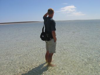 Shell Beach Shark Bay WA