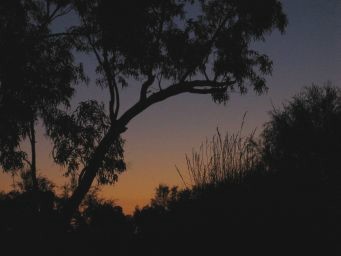 Sunset Outback WA